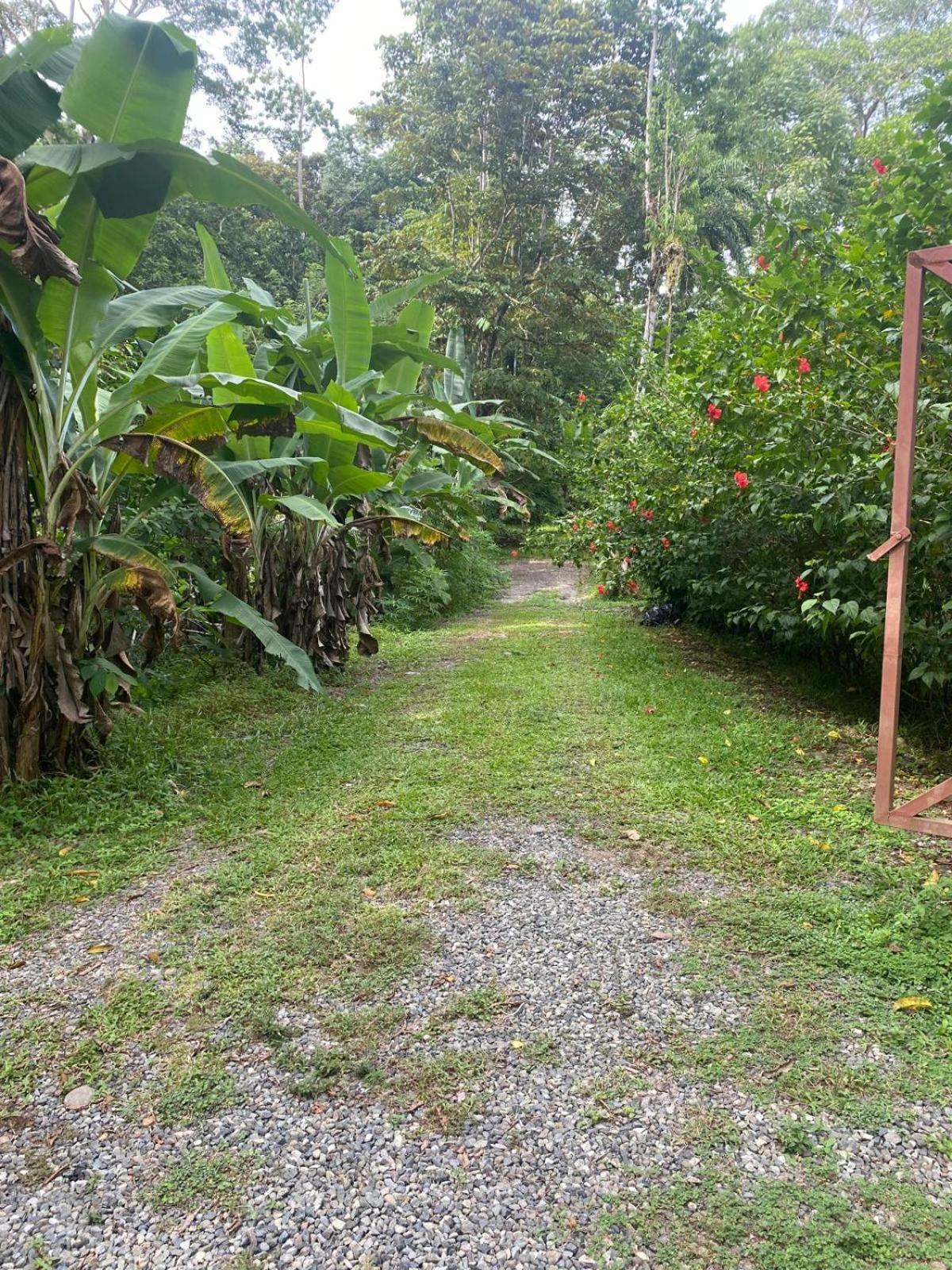 Caribbean Retreats Villa โกเกลส ภายนอก รูปภาพ