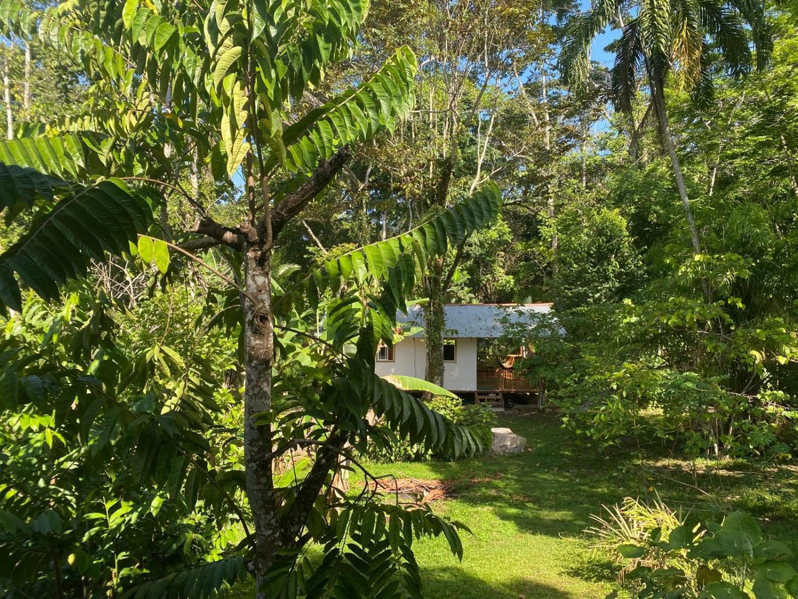 Caribbean Retreats Villa โกเกลส ภายนอก รูปภาพ